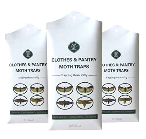 Moth Traps with Two pheromones for All Clothes Moths Kitchen Moths and Pantry Moths 6 Traps