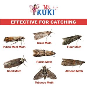 MS. KUKI Moth Traps for Pantry House Kitchen Larder Storeroom Home Indoor Cooking Cellar Buttery Storage Product Paper Cardboard Sticky Glue with Pheromones Prime No Clothes Closet Clothing (6 Pack)