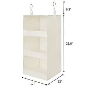 GRANNY SAYS Bundle of 1-Pack Extra Large Rectangle Storage Bins & 1-Pack Hanging Closet Organizer