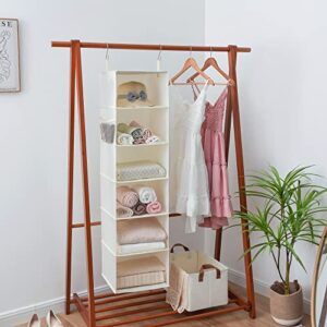 GRANNY SAYS Bundle of 1-Pack Hanging Organizer for Walk-in Closet & 1-Pack Closet Hanging Shelves