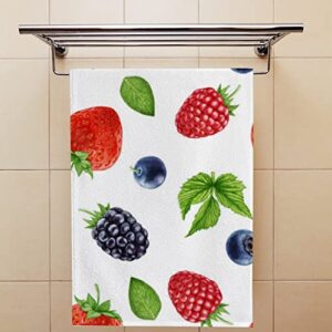 Vantaso Bath Hand Kitchen Towels Berries Face Towel 2 Pack Washcloth Soft Quick Dry Super Absorbent Bathroom