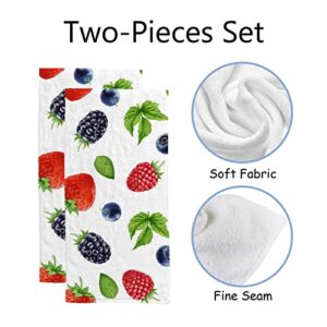 Vantaso Bath Hand Kitchen Towels Berries Face Towel 2 Pack Washcloth Soft Quick Dry Super Absorbent Bathroom