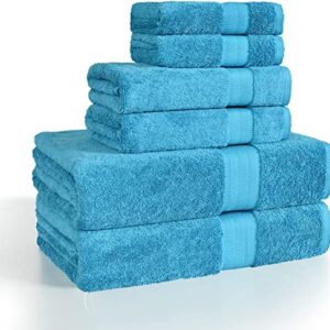 DJ Doris Bath Towels Set 6 Pack,2 Bath Towel,2 Hand Towel and 2 Washcloth,650 GSM,100% Cotton,Quick Dry,Ultra Soft and Highly Absorbent Luxury Hotel Quality for Bathroom (Blue)