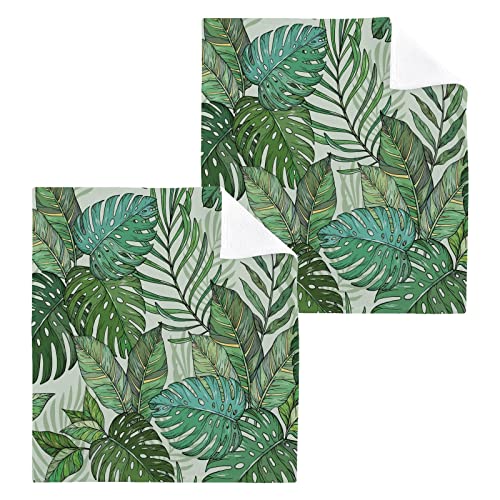 ALAZA Wash Cloth Set Tropical Palm Jungle Leaves - Pack of 6, Cotton Face Cloths, Highly Absorbent and Soft Feel Fingertip Towels(236br3a)