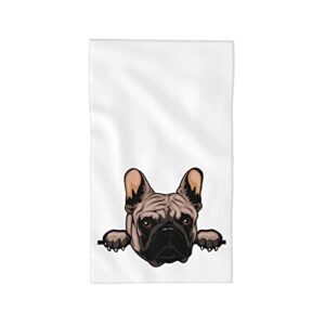 french bulldog hand towels set of 2, super-absorbent soft kitchen fingertip bath towels for bathroom beach gym hotel salon spa sport 27.5x15.7 inch