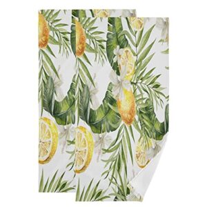 kigai tropical lemon flowers hand towels, soft & absorbent bathroom guest towels kitchen towels fingertip towel for beach gym spa 14x28 inch (2pack)