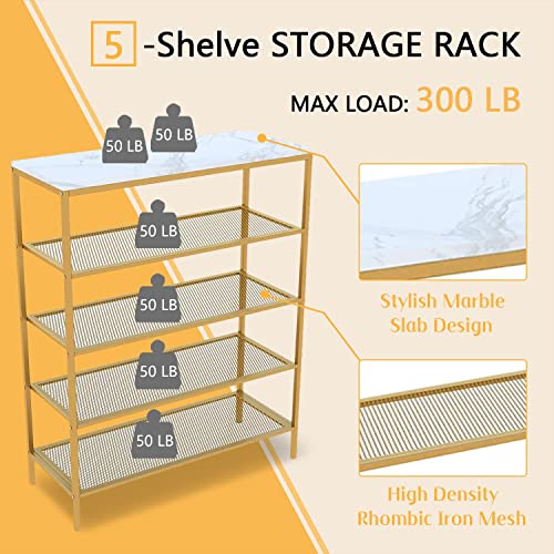 IOTXT Metal Shoe Rack, 5-Tier Shoe Storage Unit Flat, Shoe Organizer Shelf with 4 Metal Mesh Shelves and MDF Wooden Top Board for Entryway, Hallway, Closet, Living Room, Bedroom, Industrial, Gold