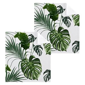 alaza palm leaves jungle monstera tropical towels cotton washcloths set,soft absorbent quick dry face cloths,multi-purpose fingertip towels for bathroom,hotel,travel,12'' x 12'' (2 pack)