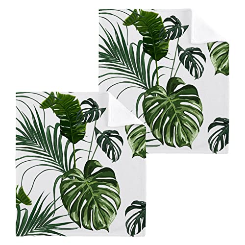 ALAZA Palm Leaves Jungle Monstera Tropical Towels Cotton Washcloths Set,Soft Absorbent Quick Dry Face Cloths,Multi-Purpose Fingertip Towels for Bathroom,Hotel,Travel,12'' x 12'' (2 Pack)