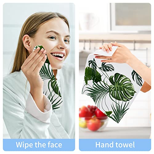 ALAZA Palm Leaves Jungle Monstera Tropical Towels Cotton Washcloths Set,Soft Absorbent Quick Dry Face Cloths,Multi-Purpose Fingertip Towels for Bathroom,Hotel,Travel,12'' x 12'' (2 Pack)