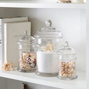 Motifeur Glass Apothecary Jars Bathroom Storage Organizer Canisters (Set of 3, Clear)
