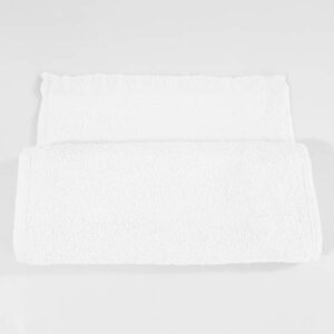 ToteBagFactory (10 Pack) Set of 10- Promotional Priced Fingertip Towels