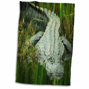 3d rose grow them big here in florida an alligator twl_62370_1 towel, 15" x 22"