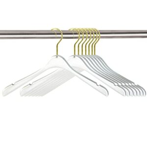 nisorpa 10 pack acrylic clear hangers, acrylic crystal clothes hangers clothing standard hangers with gold swivel hook & non-slip notches for suit coat sweater jacket blouse dress skirts shirts
