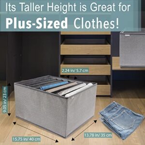 SWYXTER Wardrobe Clothes Organizers for Plus-Sized Clothes