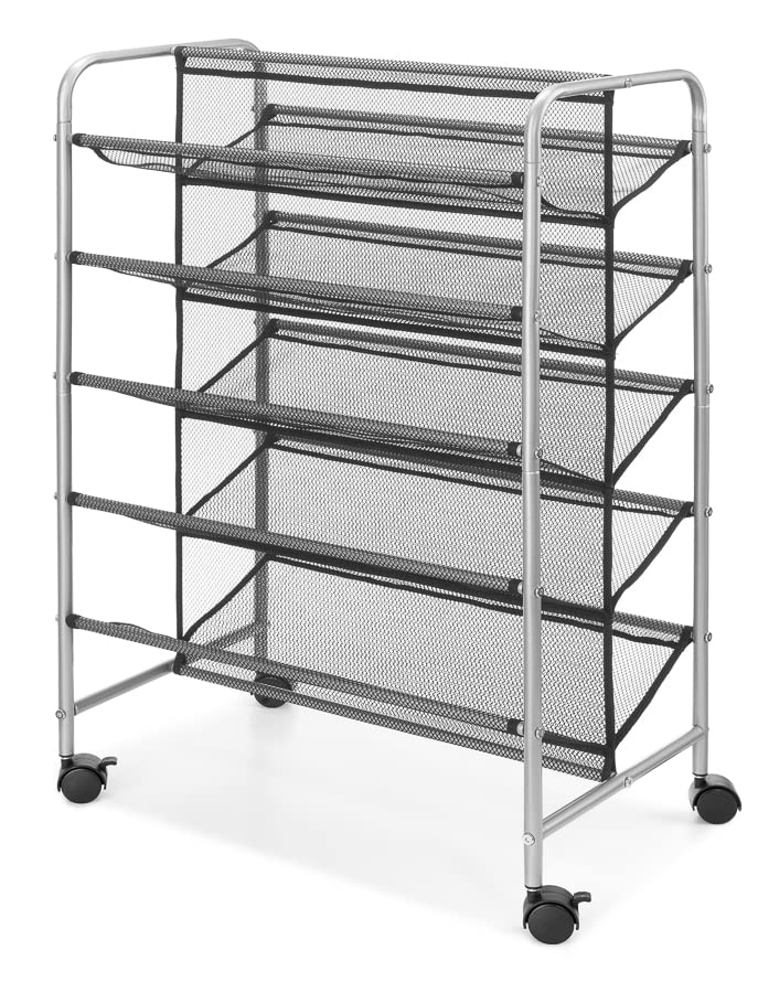 Deahun Mainstays 5 Tier, 30 Pair, Metal Mesh Shoe Rack