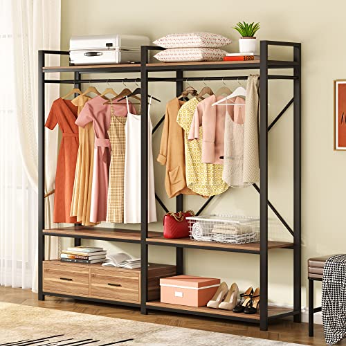 Tribesigns Freestanding Wood Garment Racks, Clothing Rack with Shelves and Drawers, Heavy Duty Metal Clothing Rack, Closet Organizer for Bedroom Walk-in Wardrobe