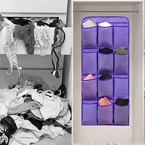 ANIZER Dual Sided Hanging Shoe Organizer for Closet with 24 Large Pockets Hanging Shoe Rack Holder with Rotating Hanger (PURPLE)