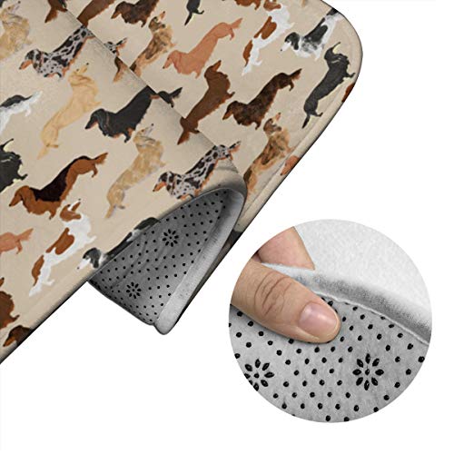 Long Haired Dachshunds Dogs Pet Dog Cute Pets Weenie Dogs Sausage Dog Pets Dog Bath Rugs and Mats Sets Bathroom Rugs Sets 3 Piece