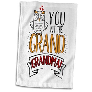 3drose you put the grand in grandma cute owl for grandparents day - towels (twl-331376-1)