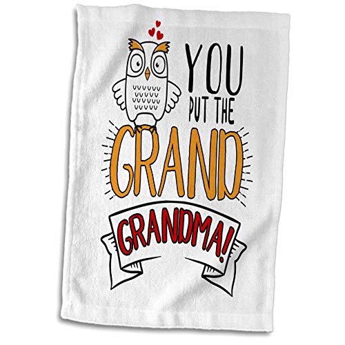 3dRose You Put The Grand in Grandma Cute Owl for Grandparents Day - Towels (twl-331376-1)