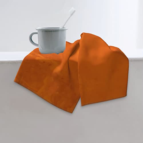 Old Burnt Orange Towels Halloween Or Autumn Colors Multipurpose Towels Soft Highly Absorbent Towels Hand Towels for Bathroom ,Hand, Face, Kitchen,Gym and Spa