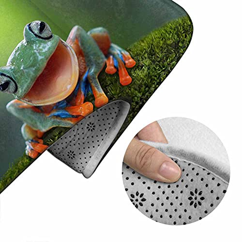 AOYEGO Tree Frog Laughing Bathroom Rugs Set of 3 Natural Animal Closeup Small Isolated Flying Fog Non Slip 31.5X19.7 Inch Soft Absorbent Polyester for Tub Shower Toilet