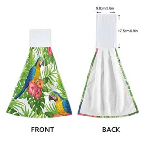 DJYQBFA Floral Bird Macaw Parrot Kitchen Towels Absorbent Hanging Kitchen Towels with Loop Set 2 Pcs Hanging Kitchen Towels for Bathroom Laundry Room Decor