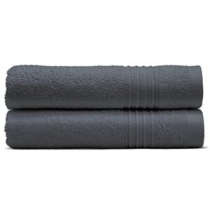 cosy house collection 2-pack essential cotton hand towel set - ultra soft, absorbent & quick drying - luxury 100% cotton plush towel - for bathroom, shower & kitchen (hand towel, grey)