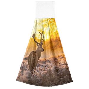 YYZZH Red Deer Antler in Morning Sun Woodland Kitchen Hand Towels with Hook & Loop Set of 2 Absorbent Bath Hand Towel Hanging Tie Towel