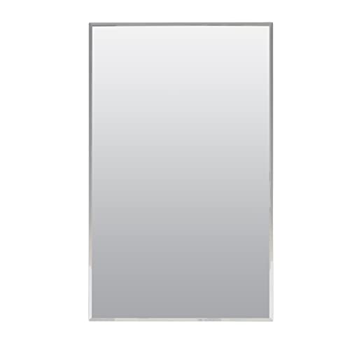 Zenna Home Frameless Mirror Medicine Cabinet, 16" W x 26" H, Made for Recessed or Surface Mount, Powder Coated Steel Body, with Beveled Edge Mirrored Door and 2 Storage Shelves