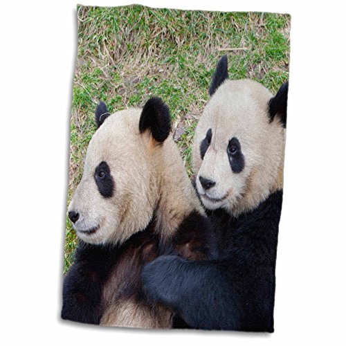 3D Rose China-Wolong Reserve-Giant Panda Bears Hugging-As07 Aga0013-Alice Garland Towel, 15" x 22"