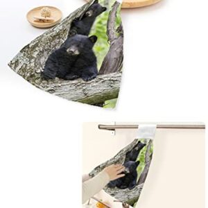 Hanging Hand Towels Kitchen Towel Cute Little Black Bear in a Tree Bathroom Hand Towels with Loop Tie Towels Soft,Absorbent Tea Bar Towels,1pc