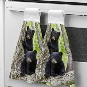 Hanging Hand Towels Kitchen Towel Cute Little Black Bear in a Tree Bathroom Hand Towels with Loop Tie Towels Soft,Absorbent Tea Bar Towels,1pc