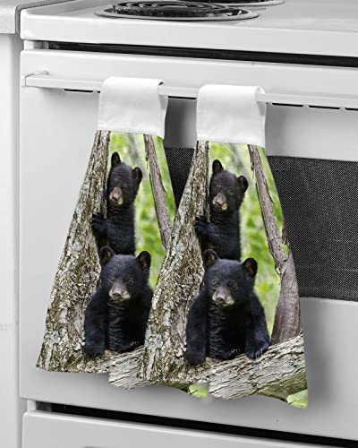 Hanging Hand Towels Kitchen Towel Cute Little Black Bear in a Tree Bathroom Hand Towels with Loop Tie Towels Soft,Absorbent Tea Bar Towels,1pc