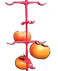 GWU ESSENTIAL Persimmon air Dry Hanger Hooks - 1 Pack - 5 Hangers -Can Hold 50 Fruits - Made in Japan