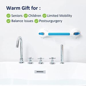 TAILI Suction Shower Grab Bar + Shower Caddy Bathroom Safety Handle Bathroom Organizer No Drilling and Removable Suction Mounted