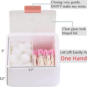 Tecbeauty 2 Slot Cotton Swab Ball Qtip Holder Jar Plastic Container Dispenser Box with Hinged Lid for Bathroom Home Storage Organizer