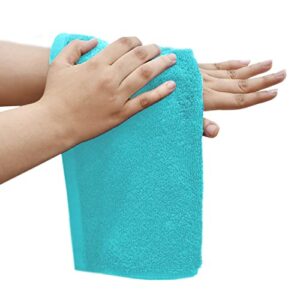 DAN RIVER 100% Cotton Face Towels 12 Pack - Premium Quality Washcloths Soft and Highly Absorbent Towels for Bathroom, Spa, Gym - Quick Dry Essential for Body and Daily Use 12x12 in, 600 GSM – Aqua