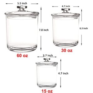 Youngever 60-Ounce, 30-Ounce and 15-Ounce Clear Plastic Apothecary Jars Set of 3