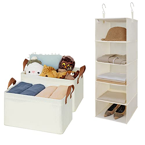 GRANNY SAYS Bundle of 2-Pack Toy Boxes & 1-Pack Hanging Closet Organizer