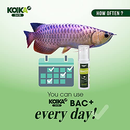 KOIKA BAC+ Aquarium Probiotics, Immunity Boosting, Disease Resistance & Improve The Digestive System (BAC+,105ml)