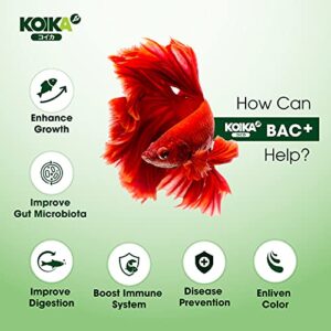 KOIKA BAC+ Aquarium Probiotics, Immunity Boosting, Disease Resistance & Improve The Digestive System (BAC+,105ml)