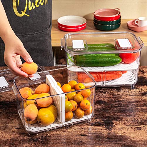 SANNO Vegetable Fruit Containers Fridge Food Storage Produce Saver Container Stackable Refrigerator Freezer Organizer Fresh Keeper Drawers Organizer set of 2