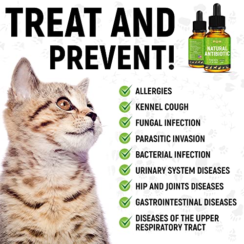 GoldenPaw Herbal Pet Supplement for Cat