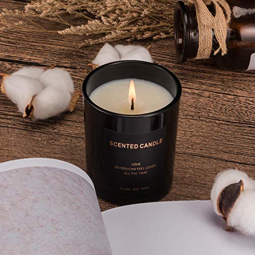 Fight Eagle Scented Candle Exquisite Black Glass Jars Long Lasting High 30 Hours Natural Soy Wax Scented Candles for Home Scented,Gifts,Office,Bathroom, Romantic Travel Goods. (Amber&Moss)
