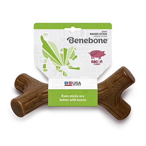 Benebone Bacon Stick Durable Dog Chew Toy for Aggressive Chewers, Real Bacon, Made in USA, Giant