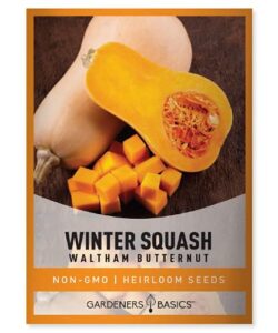 butternut squash seeds for planting - waltham heirloom non-gmo winter storage vegetable plant for home garden vegetables makes a great gift for gardening by gardeners basics