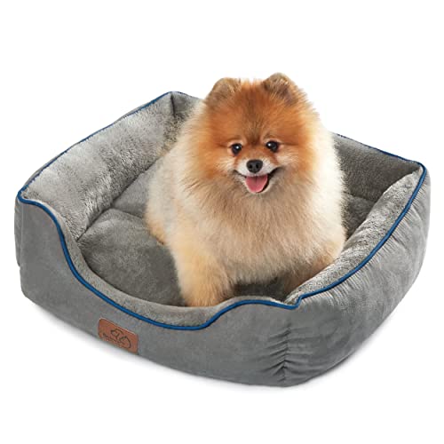 Bedsure Small Dog Bed for Small Dogs Washable - Cat Beds for Indoor Cats, 20 Inches Rectangle Cuddle Puppy Bed with Anti-Slip Bottom, Grey