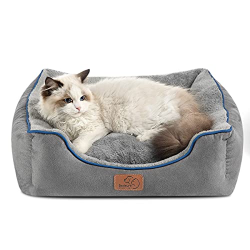 Bedsure Small Dog Bed for Small Dogs Washable - Cat Beds for Indoor Cats, 20 Inches Rectangle Cuddle Puppy Bed with Anti-Slip Bottom, Grey